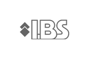 IBS projektowanie strony internetowej