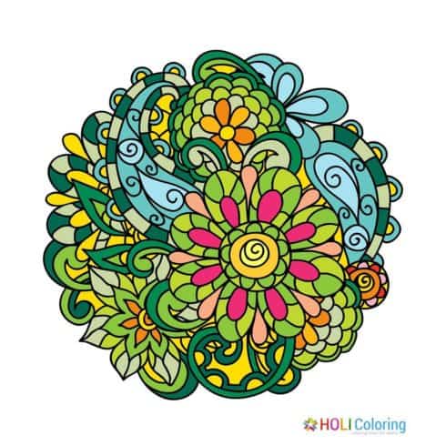 Coloring Flowers
